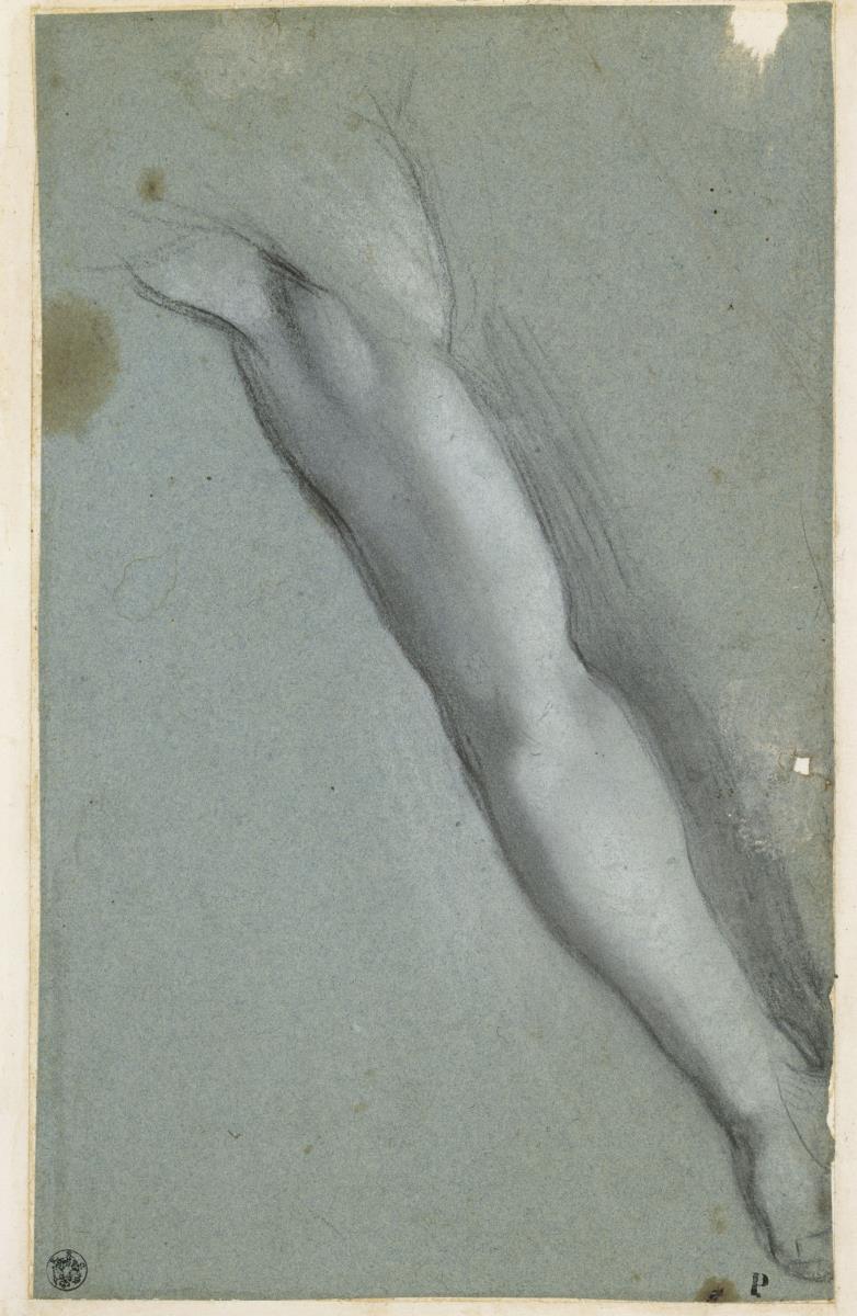 Studie für den linken Arm des Gekreuzigten für die Kreuzigung in Urbino (Galleria Nazionale delle Marche)