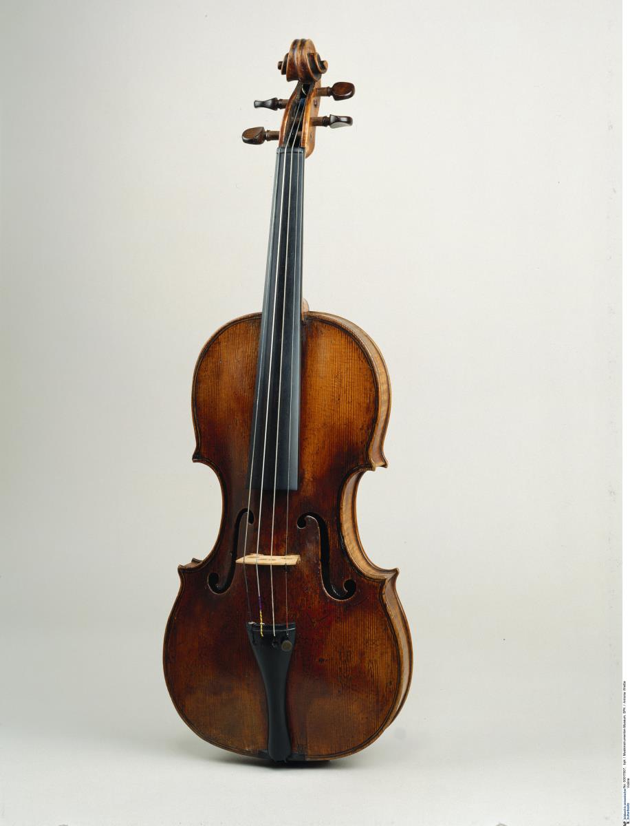 Violine