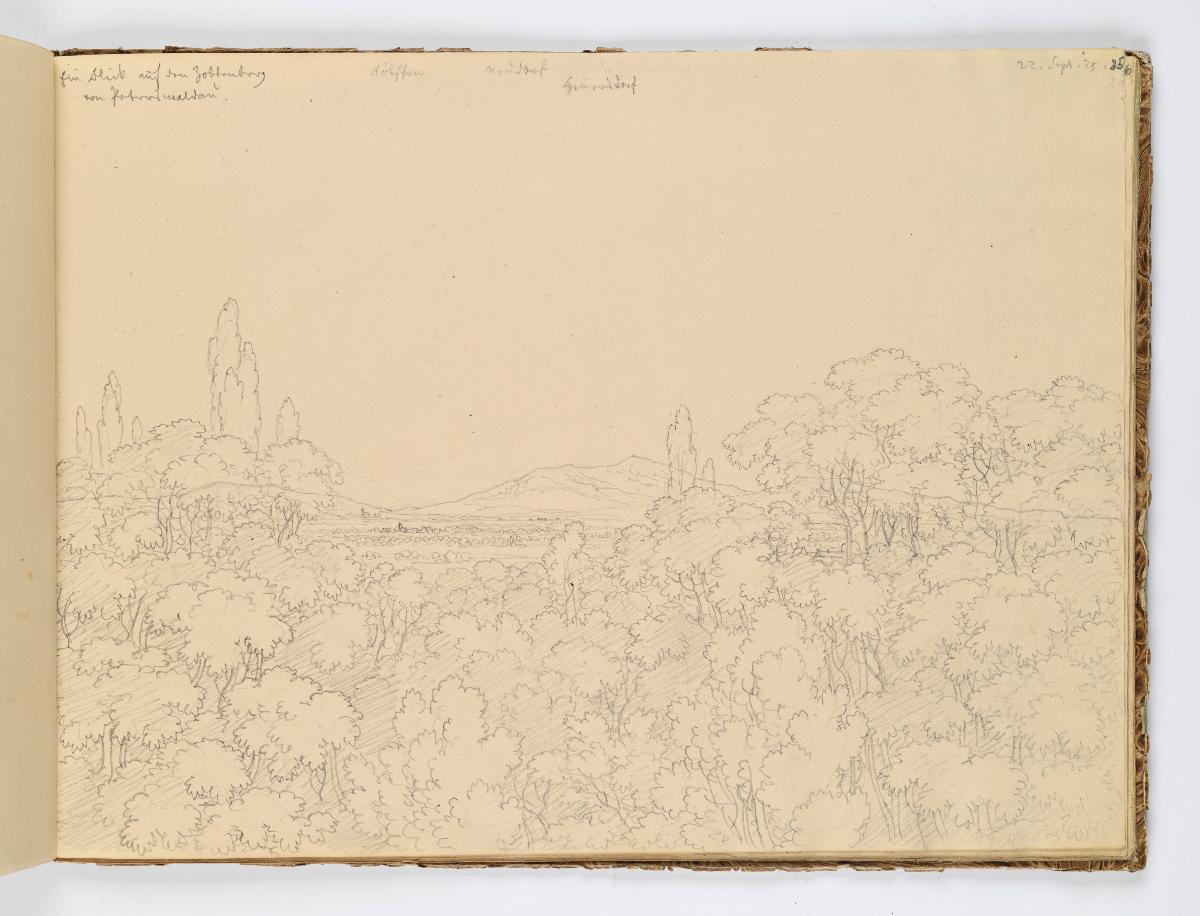 Blick auf den Zobten von Peterswaldau aus