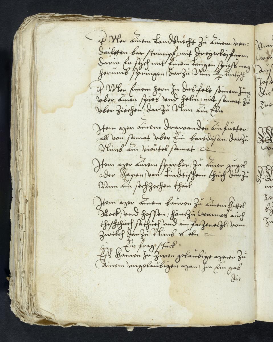 Schneidermusterbuch: Käysserliche Freyhaitten d schneyder [...]