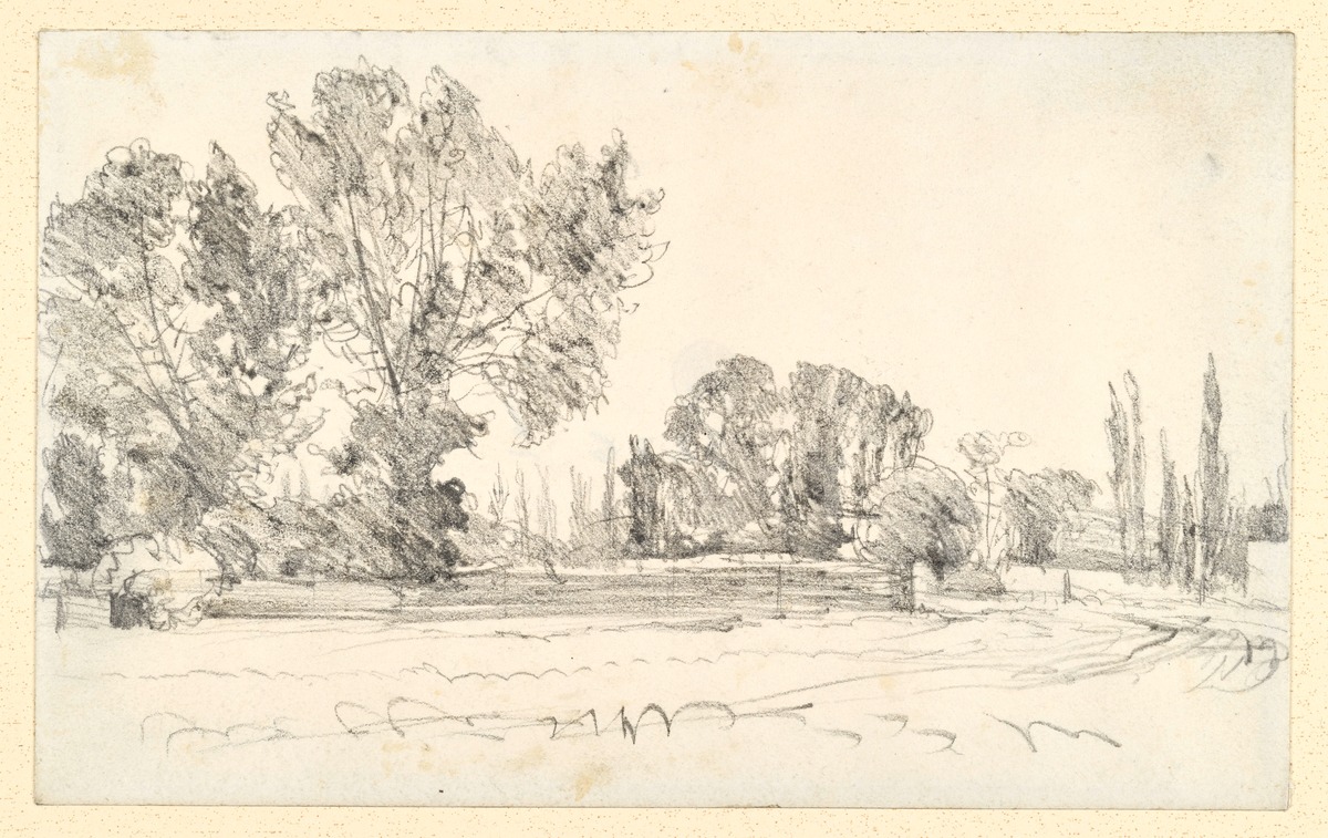 Landschaft mit hohen Bäumen, Weg und Bretterzaun