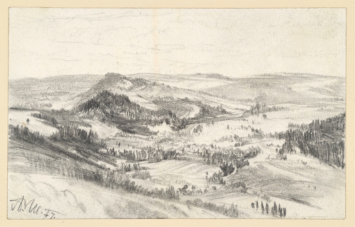 Bewaldete Berglandschaft