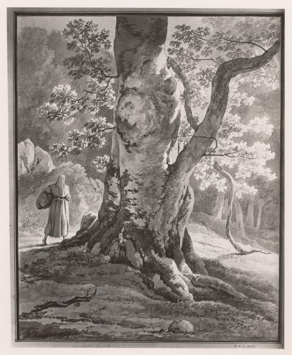 Italienische Frau in Waldlandschaft
