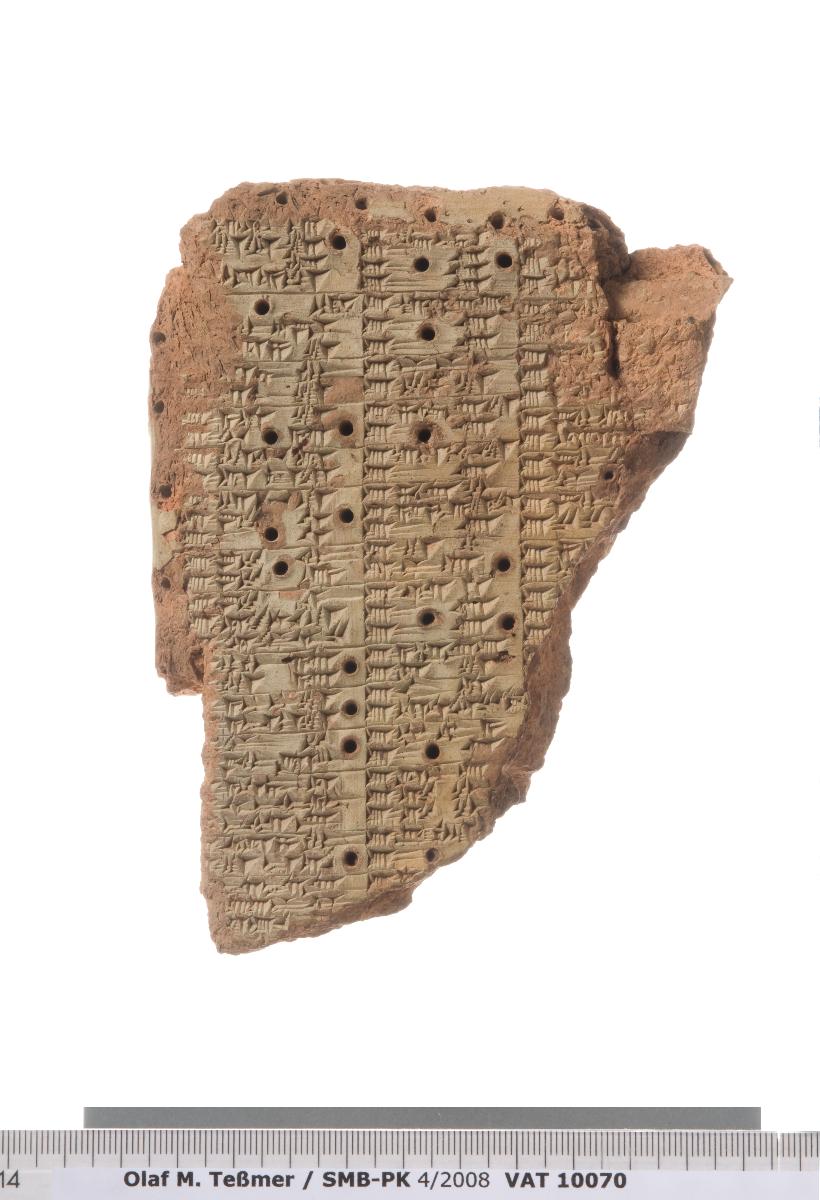 Medizinischer Text