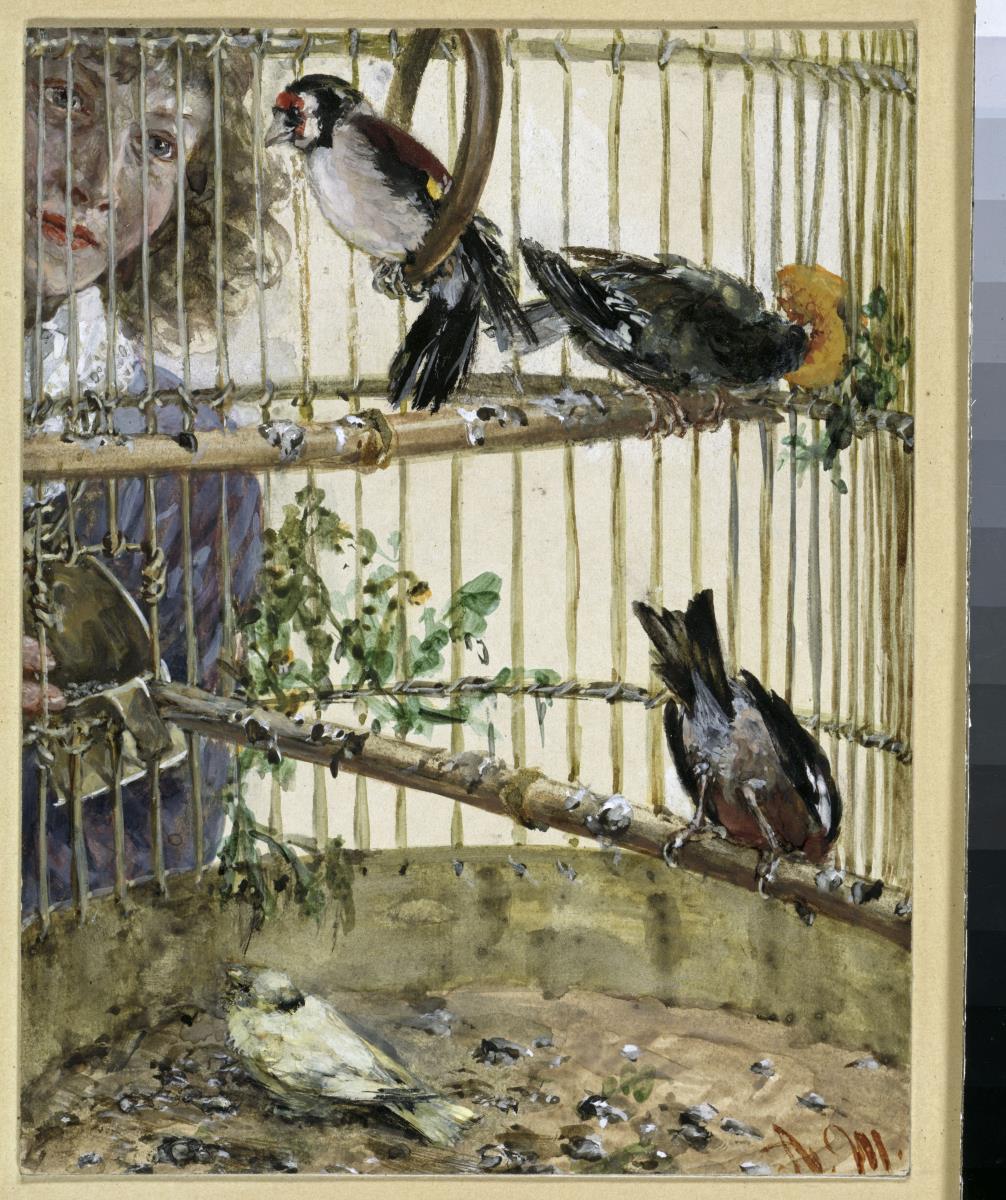 Die Distelfinken und der Kanarienvogel im Bauer. Aus dem "Kinderalbum"