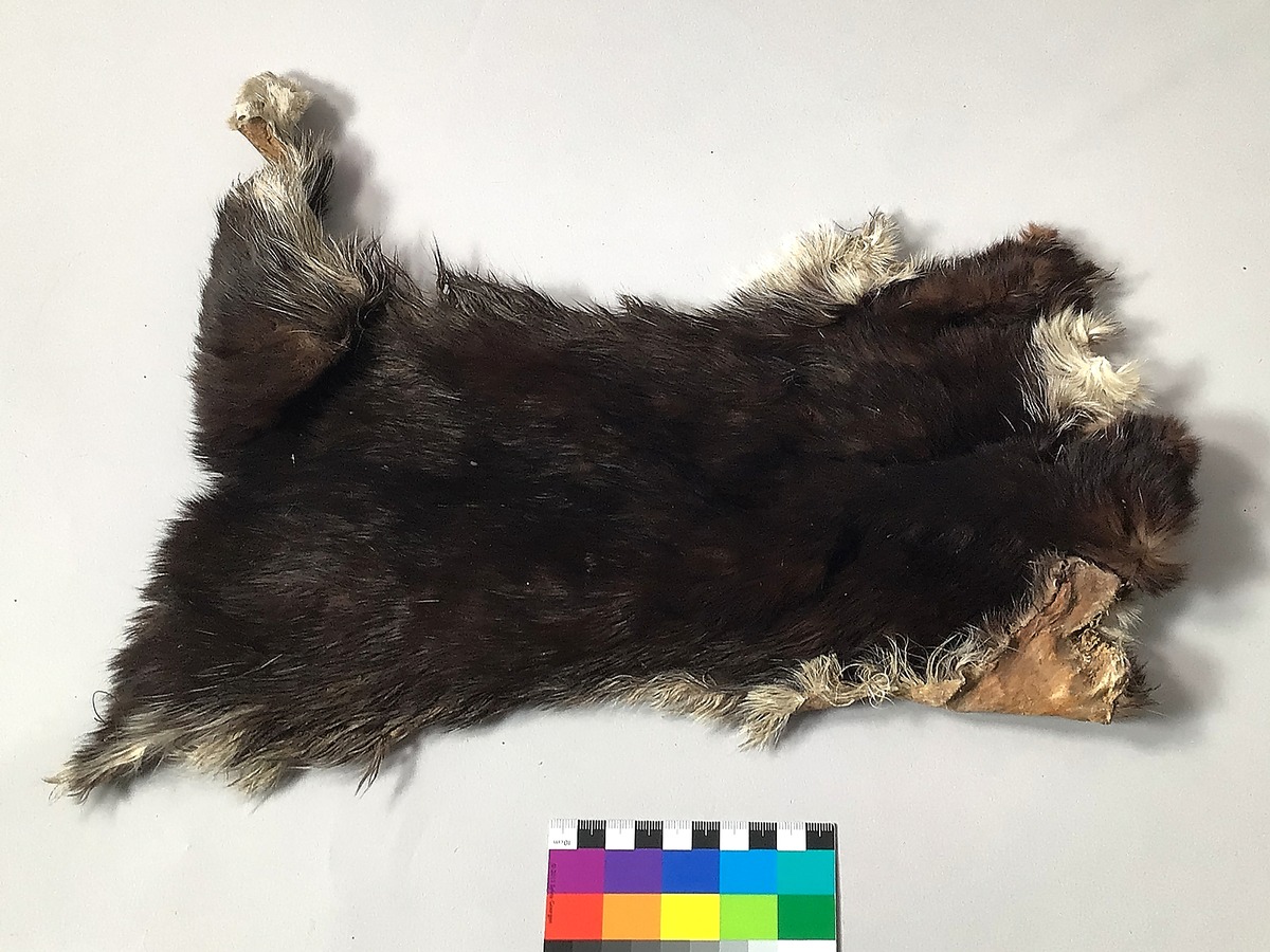 Kein Titel