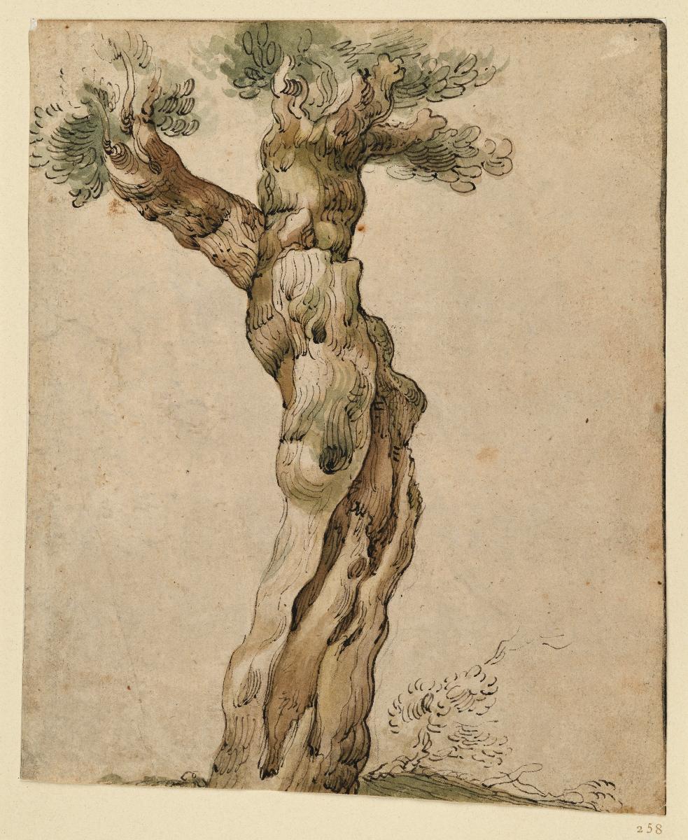 Einzelner Baum, dessen Stamm sich oben nach links gabelt (Skizzenbuchblatt)