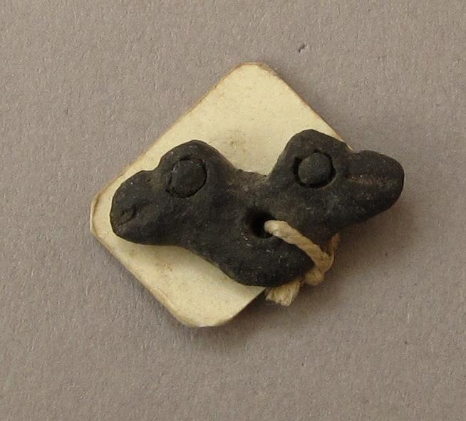 doppelter Vogelkopf