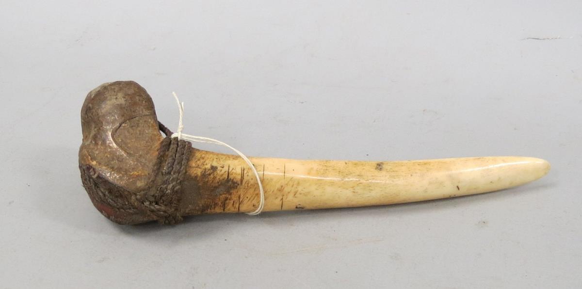 kuau (baliapa) (laut Koch)