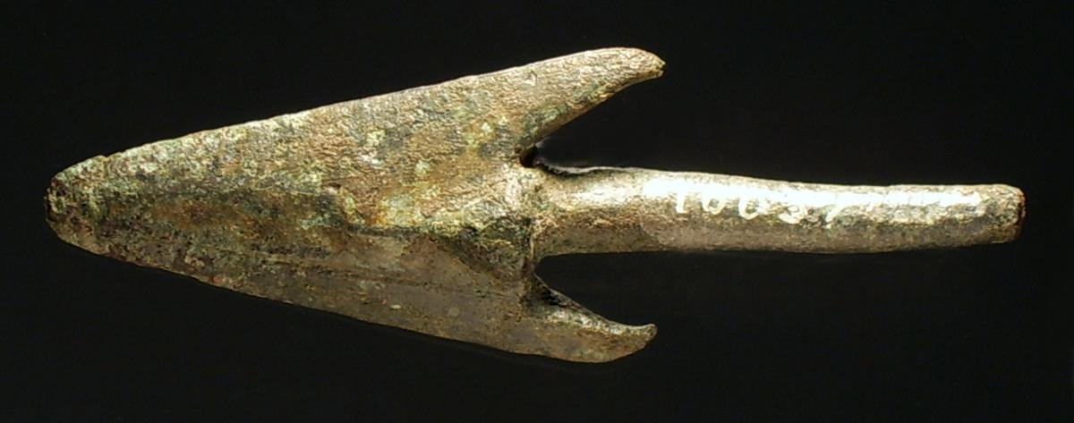 Zweiflügelige Dornpfeilspitze mit Widerhaken