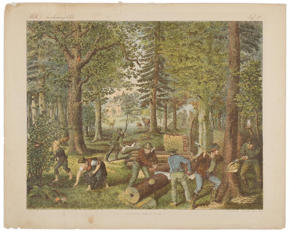 Wilke´s Anschauungsbilder – Taf.10 [Waldarbeit]