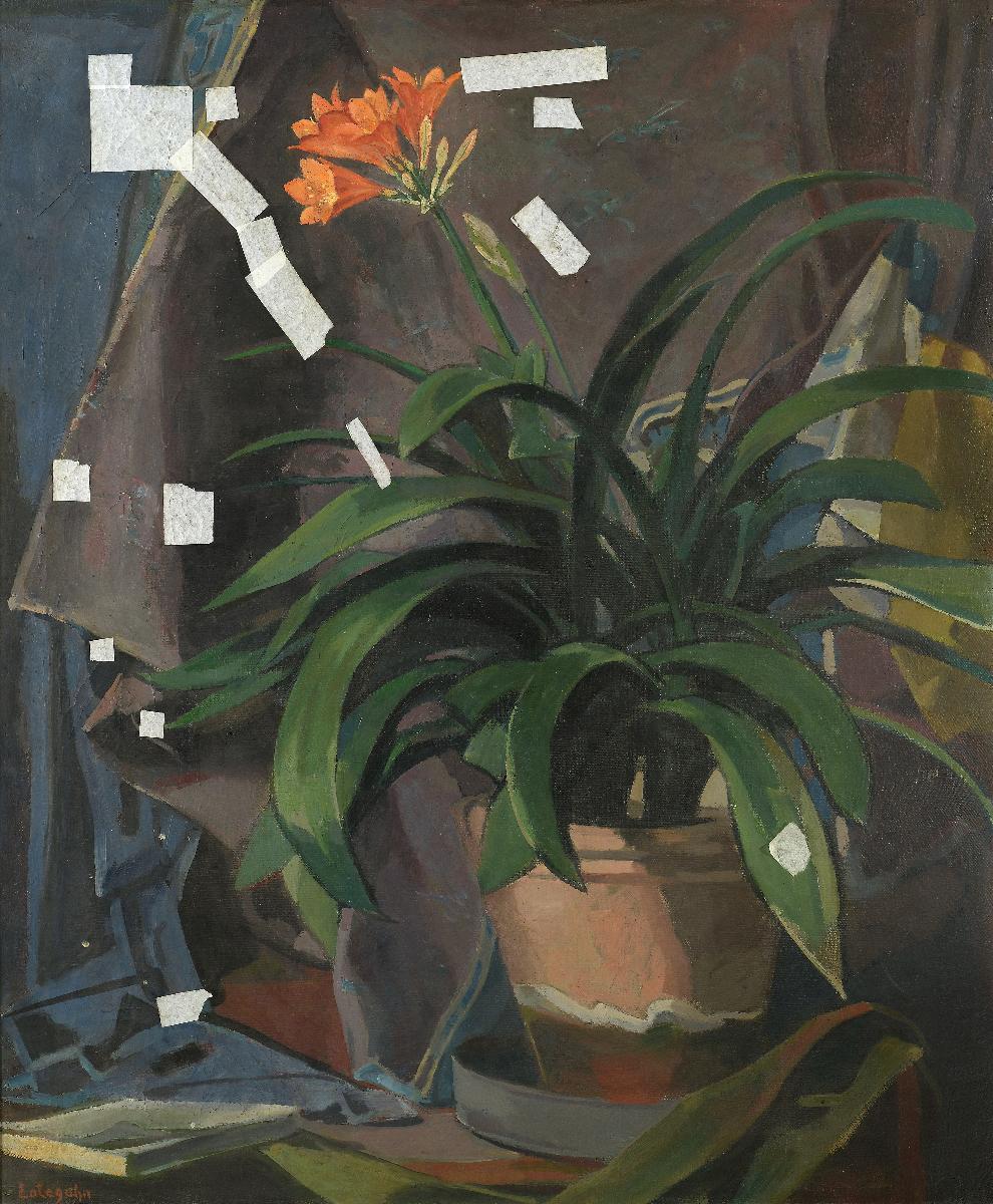 Stillleben mit Clivia