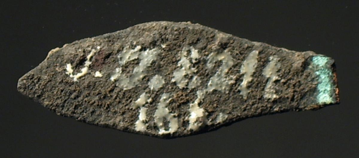 Fragment eines Blätterkranzes