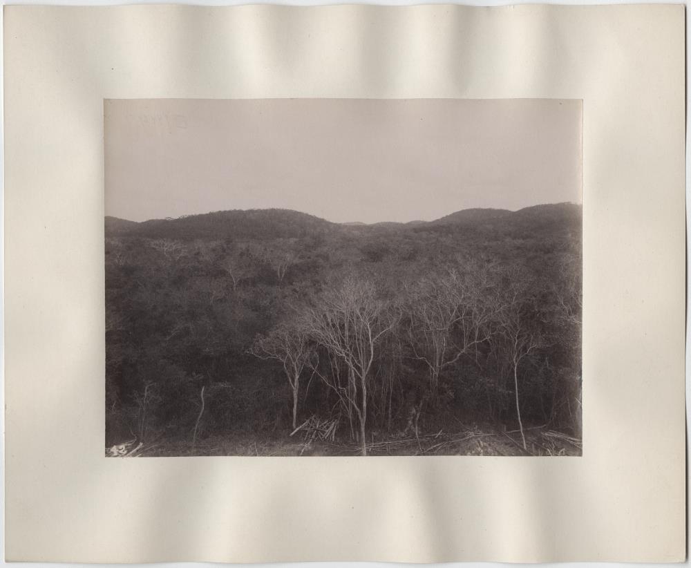 "Landschaft. Blick vom Tempel aus nach Westen."