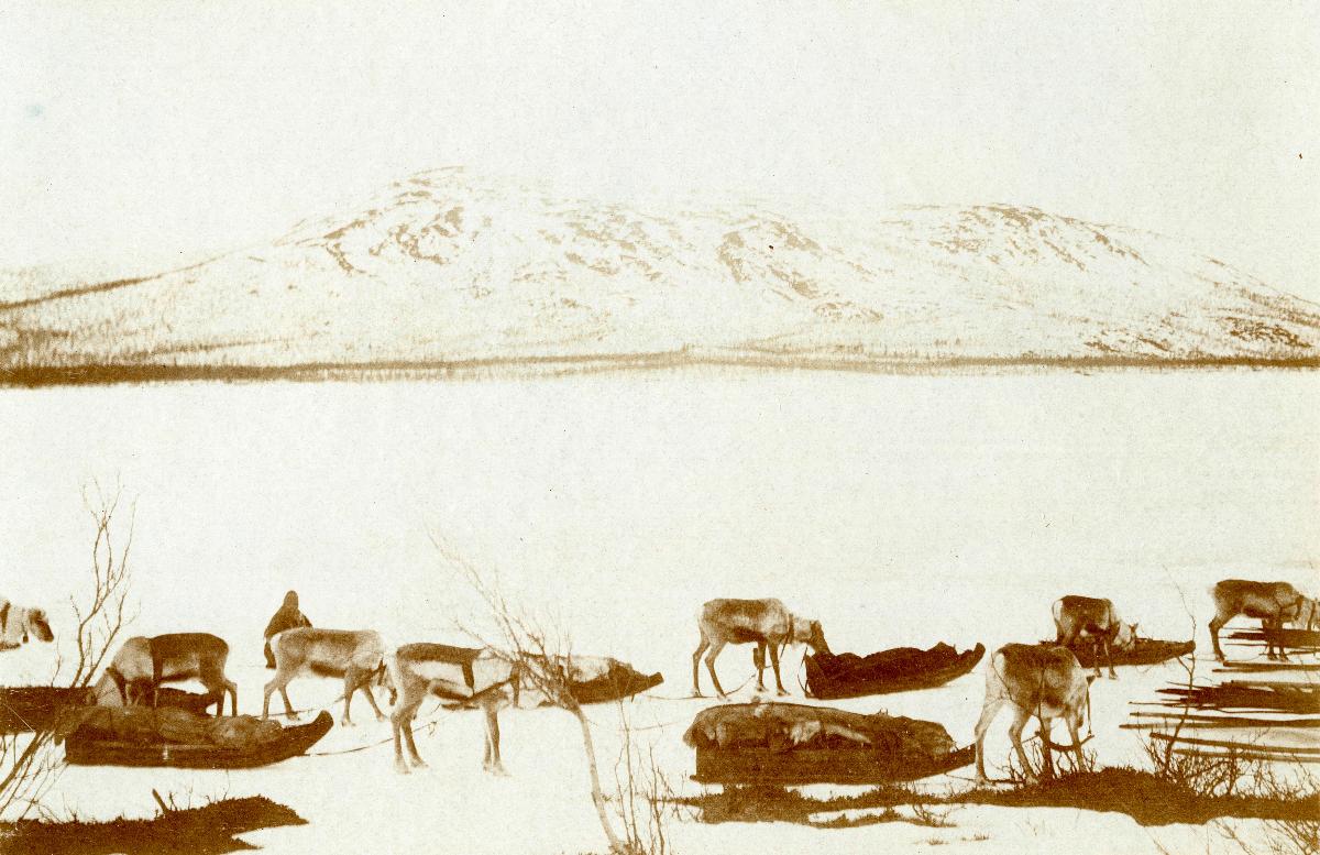 Rast auf dem Talojärvi