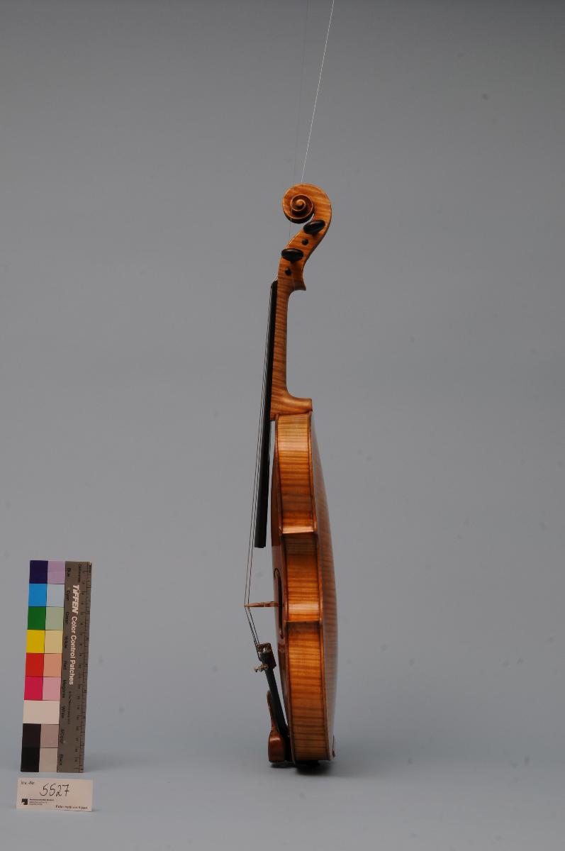 Violine