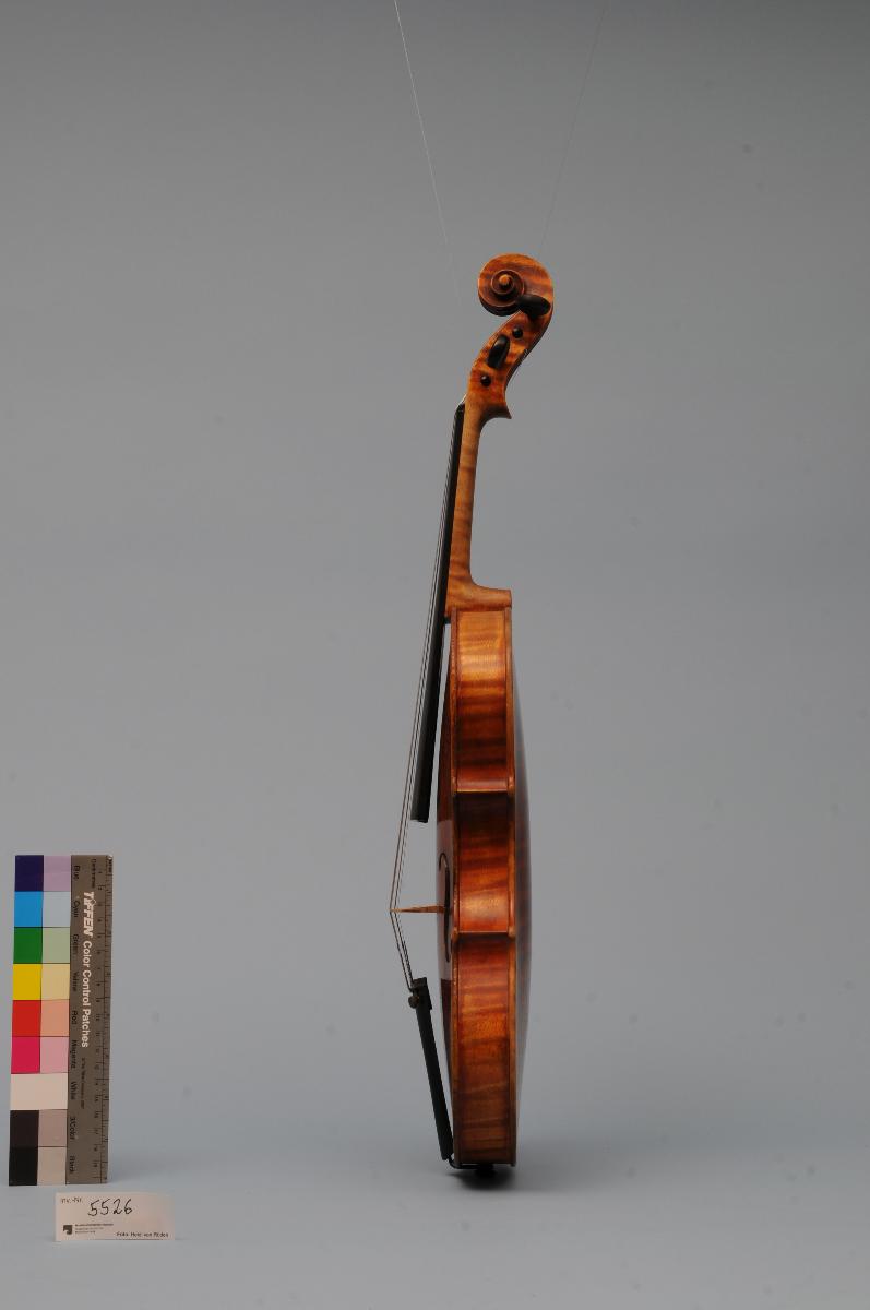 Violine