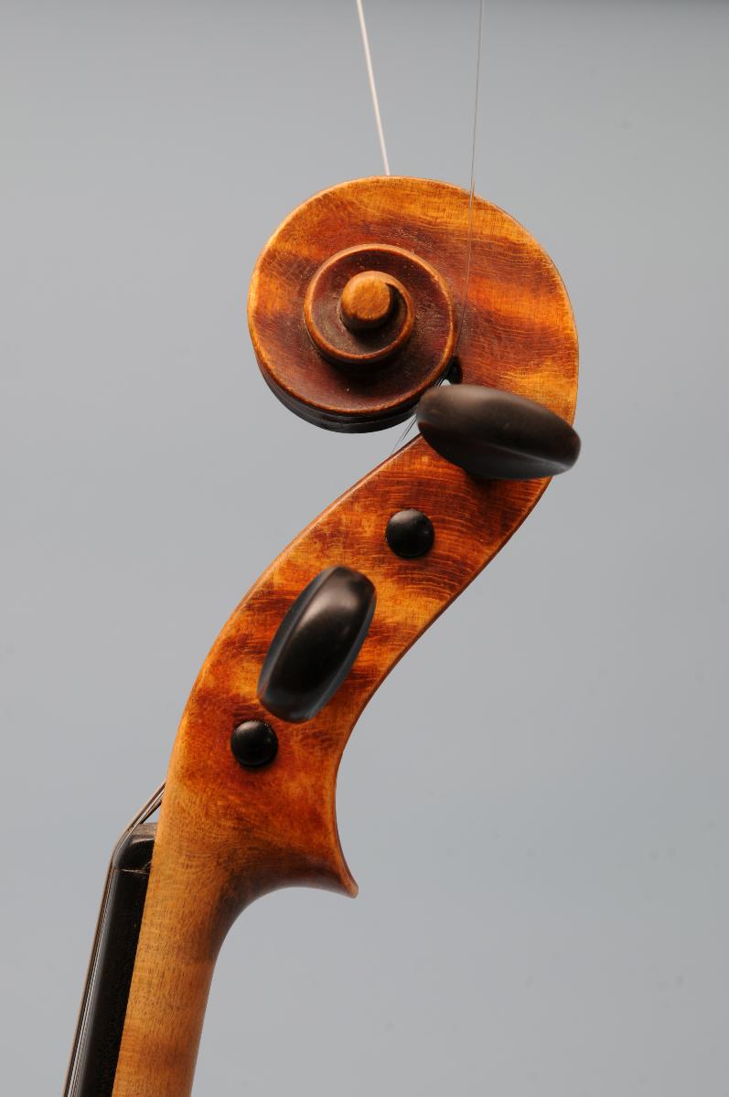 Violine