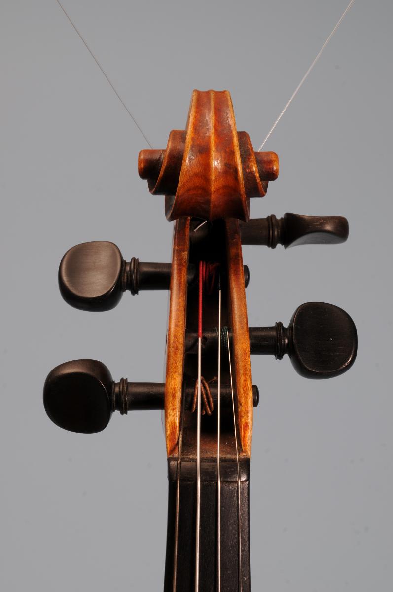 Violine