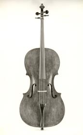 Violoncello