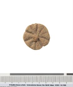 Rosette