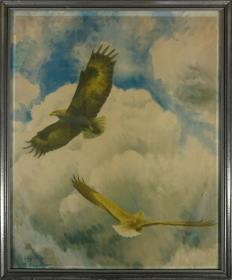 Der letzte Adler.