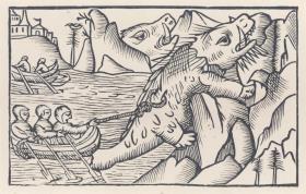 Walrossfang