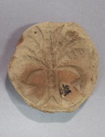 Stempel mit Dattelpalme