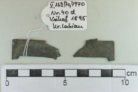 Sprossenfibelfragment