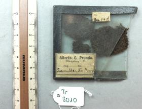 Textilfragment