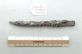 Fragment eines Harpunenschaftes