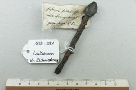 Eiserne Fibelachse