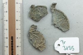Anhängerfragment