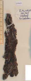 Schwertfragment