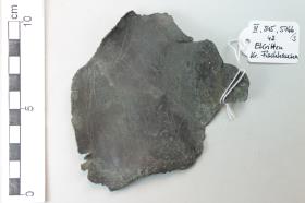 Bronzeschalenfragment