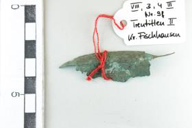 Bronzeschalenfragment