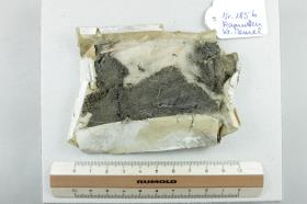 Textilfragment
