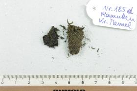 Textilfragment