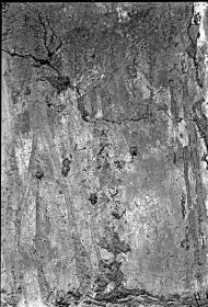 Wandmalerei und Inschrift
