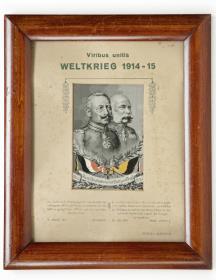 Viribus unitidis Weltkrieg 1914-15.