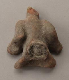 Frosch (?)