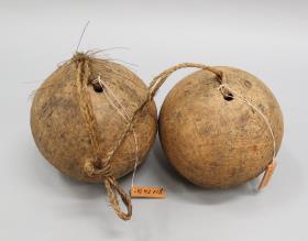 natasi (laut Nevermann)
