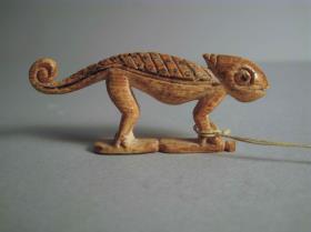 Chamäleon