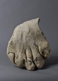 Löwenfell-Fragment (Pfote) einer überlebensgroßen Heraklesstatue