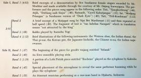 The Ethnomusicologist