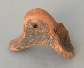 "Vogelkopf"