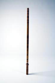 paldong