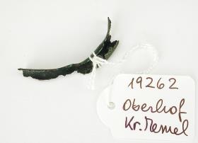 Trinkhornbeschlag