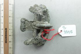 Sprossenfibelfragment