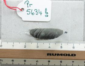 Fingerring